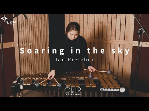 Soaring in the sky by Jan Freicher (Vibraphone solo)