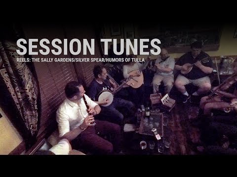 Session Tunes - The Sally Gardens/Silver Spear/Humors of Tulla