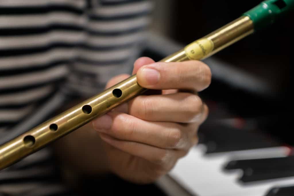 Is The Tin Whistle A Real Instrument? – Sound Adventurer – Exploring the  World of Music and Sound