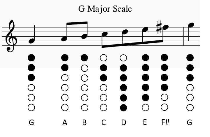 Tin Whistle Fingering Charts and Notes (All Keys & Scales)