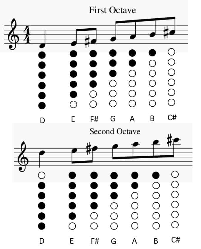 Melodies & Songs for Penny Whistle in D – The Trustees