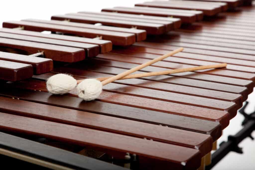 Musical instrument deals like a xylophone